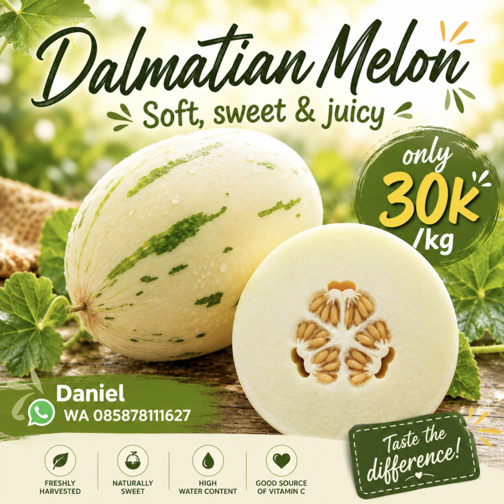 Dalmatian Melon